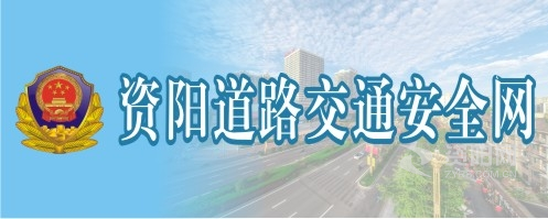 啊,操我,舔我,资阳道路交通安全网