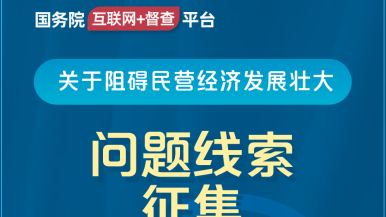 美女舔，叼，国产国务院“互联网+督查”平台公开征集阻碍民营经济发展壮大问题线索